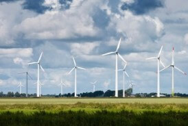 Windfarm in field Windfarm in field